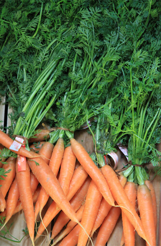 raw-carrots-ginger-soup